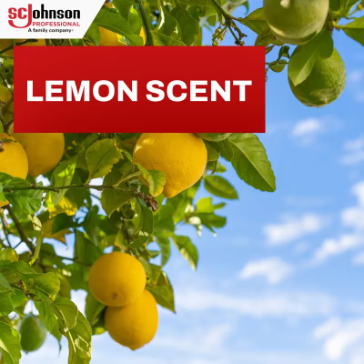 Pledge® Lemon Dust & Allergen Furniture Cleaner 14.2 FLOZ Multi Surface Aerosol 6/Case