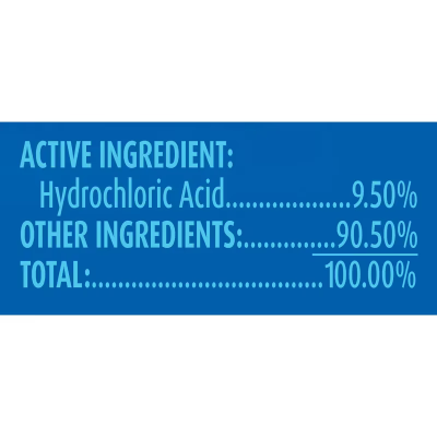 Lysol® Wintergreen Toilet Bowl Cleaner 32 FLOZ RTU 12/Case