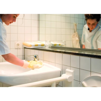 Oasis® Pro Fresh Scent Restroom Cleaner One-Step Disinfectant 2 L Multi Surface Alkaline Concentrate 2/Case