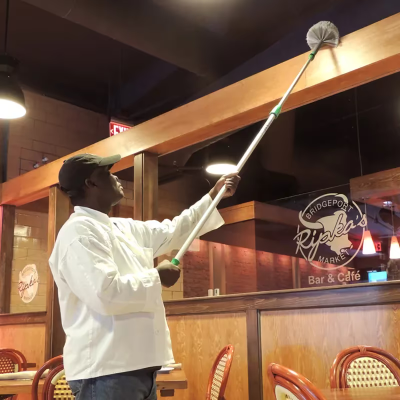 CobWeb Duster Gray 1/Each